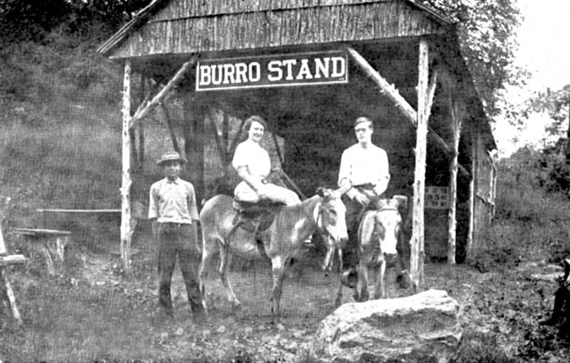 Ready for a mountain climb on burros in Delaware Water Gap, circa 1903.