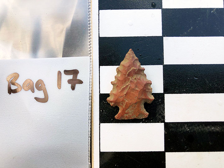 A Palmer projectile point, what most people would call an arrowhead, was among the uncovered artifacts.