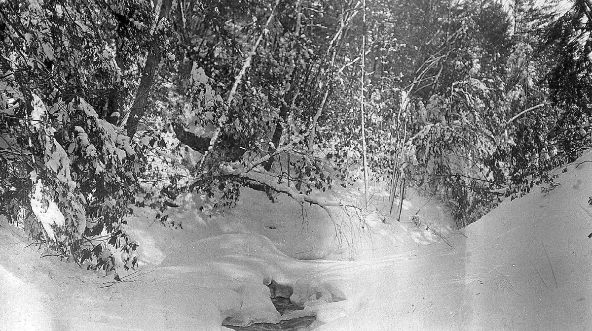 The upper glen at Buck Hill Falls near Cresco, circa 1914.